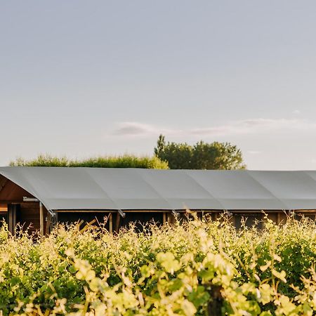 Villas & Vines Glamping Хейстингс Экстерьер фото