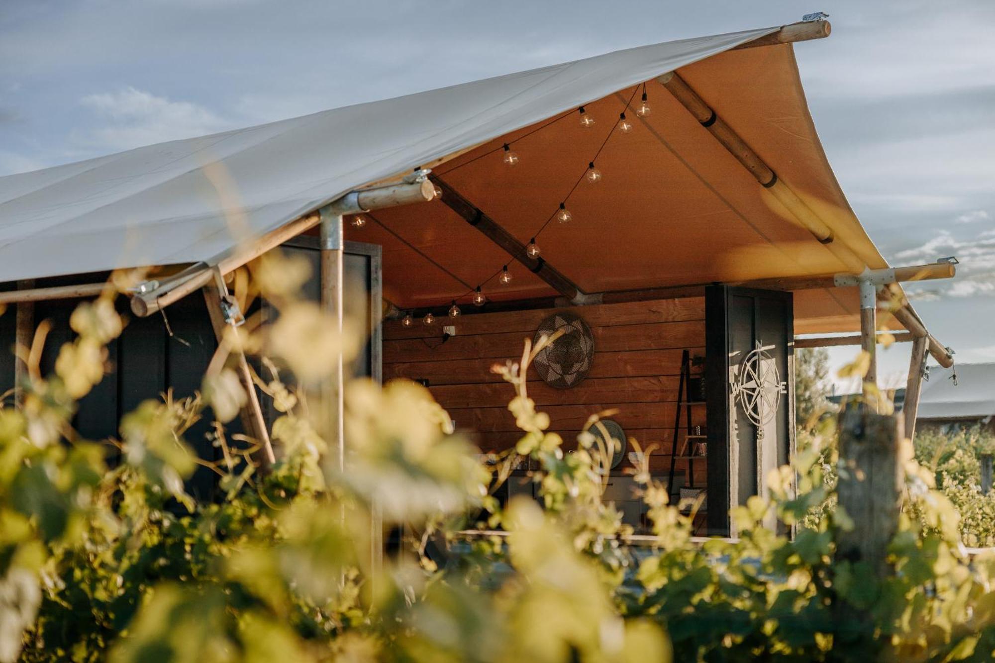 Villas & Vines Glamping Хейстингс Экстерьер фото