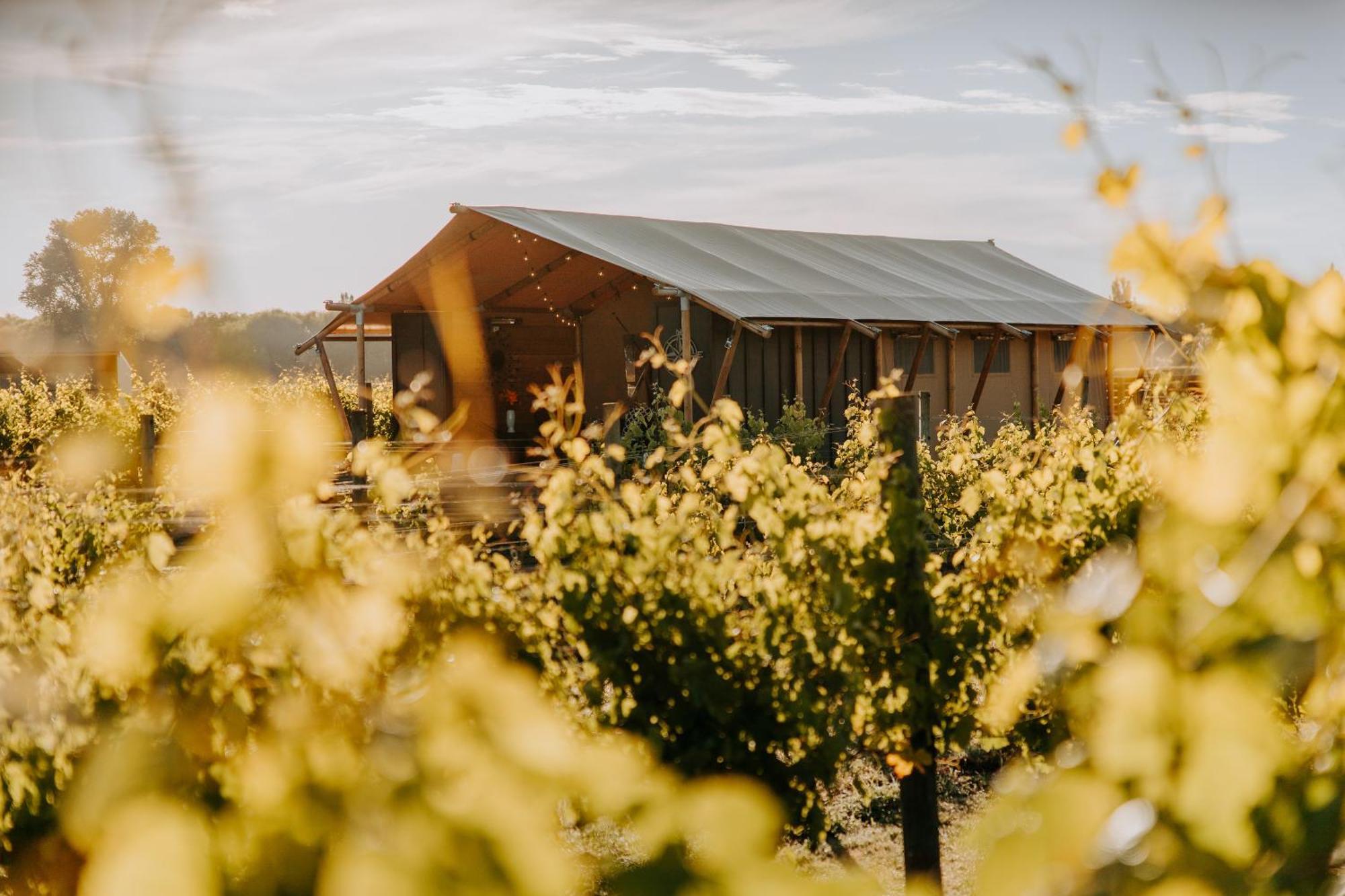 Villas & Vines Glamping Хейстингс Экстерьер фото