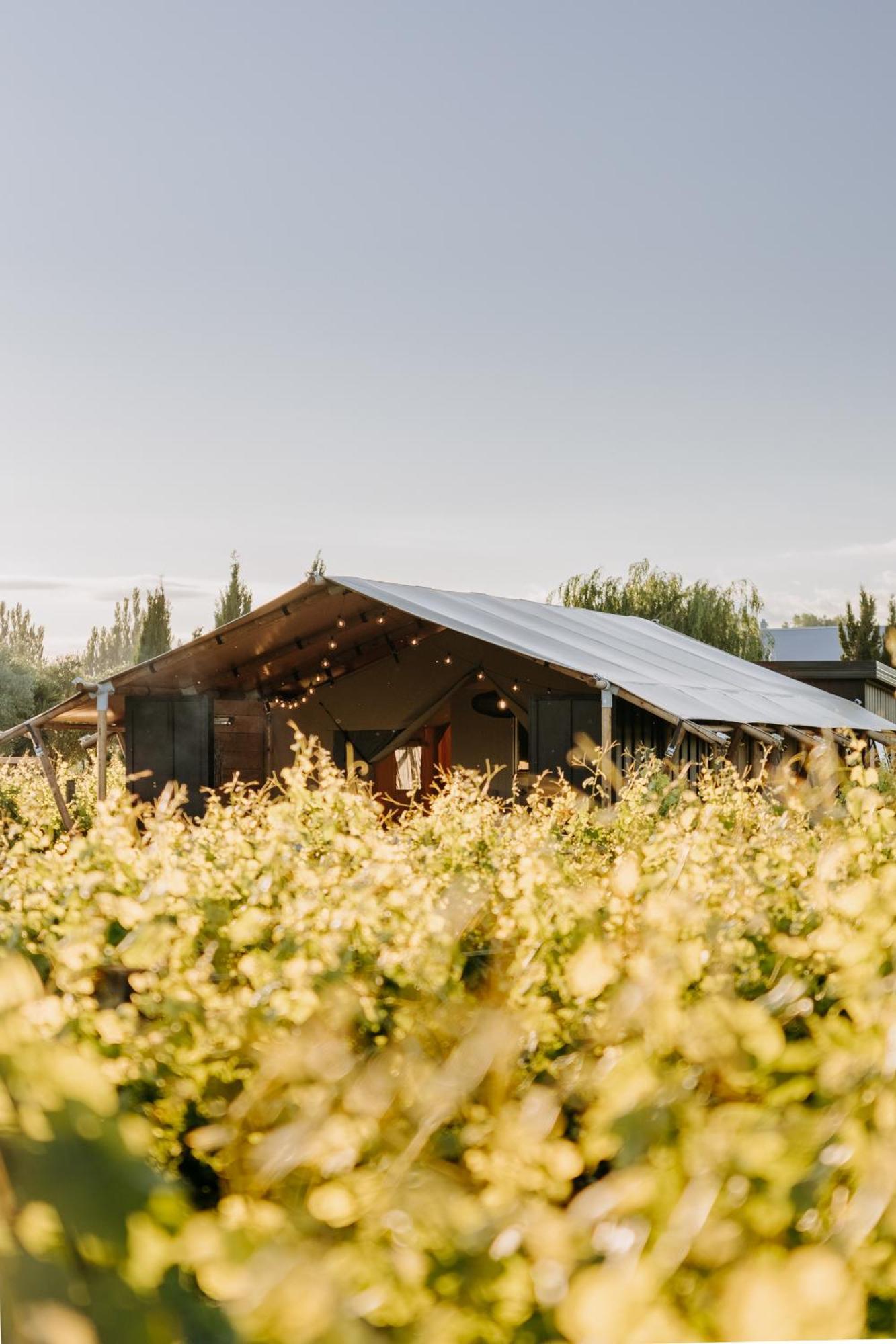 Villas & Vines Glamping Хейстингс Экстерьер фото