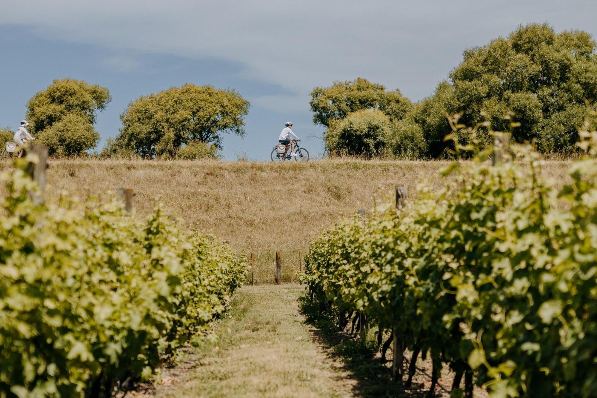 Villas & Vines Glamping Хейстингс Экстерьер фото
